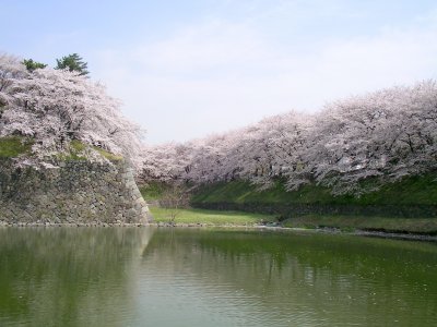 名古屋城5