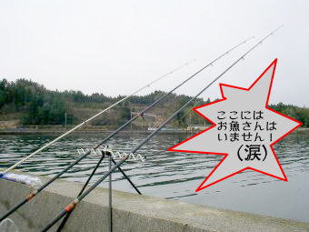 🎣 能登島へ釣行（2010年3月27日）