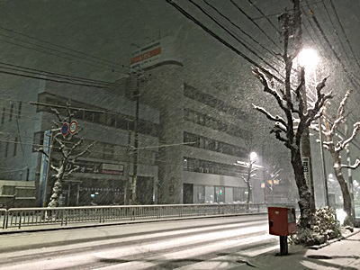 名古屋今年初積雪（2016年1月）