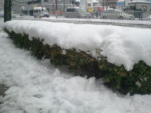 名古屋積雪23センチどえりゃー雪