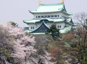 名古屋城桜01