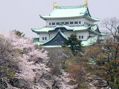 名古屋城の桜🌸