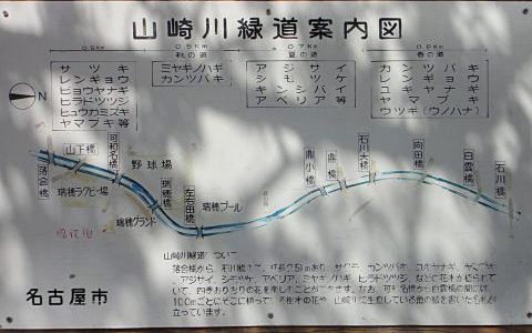 山崎川に桜🌸花見（2014年4月3日）
