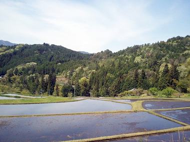 岐阜県中津川市に戦記もの古本買取