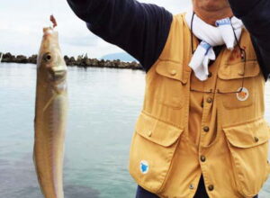 大型キス・タイワンガザミが釣れた越前敦賀釣行（9月15日）