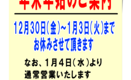 謹賀新年2017年酉（とり）年